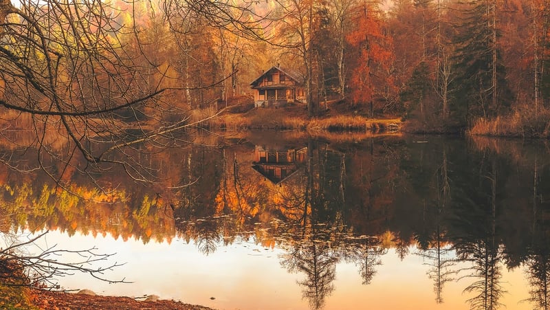 Nature Escape